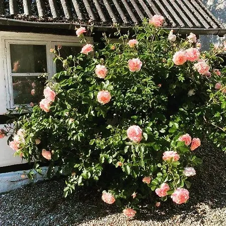 Skelby Praestegaard Gedser